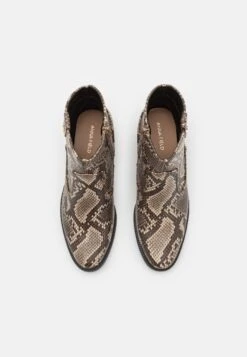 Anna Field Stivaletti Texani / Biker - Multicoloured -Anna Field 4b872722a054414b94666efa8464626d